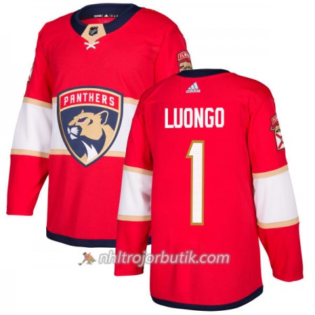 Män Ishockey Florida Panthers Tröja Roberto Luongo 1 Adidas 2017-2018 Röd Authentic
